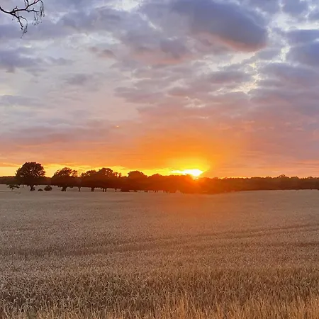 Kugelhaus Nordlichter - Skandinavischer Rueckzugsort In Runder Form Am Tollensesee